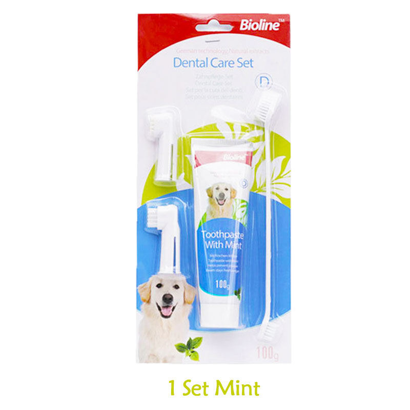 360Paw™ Dog Toothpaste — Natural Formula | Beef, Mint & Orange Flavors