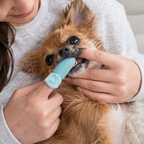 360Paw™ Small Breed Dental Brush