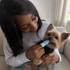 360Paw™ Small Breed Dental Brush